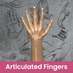 Articulated Fingers